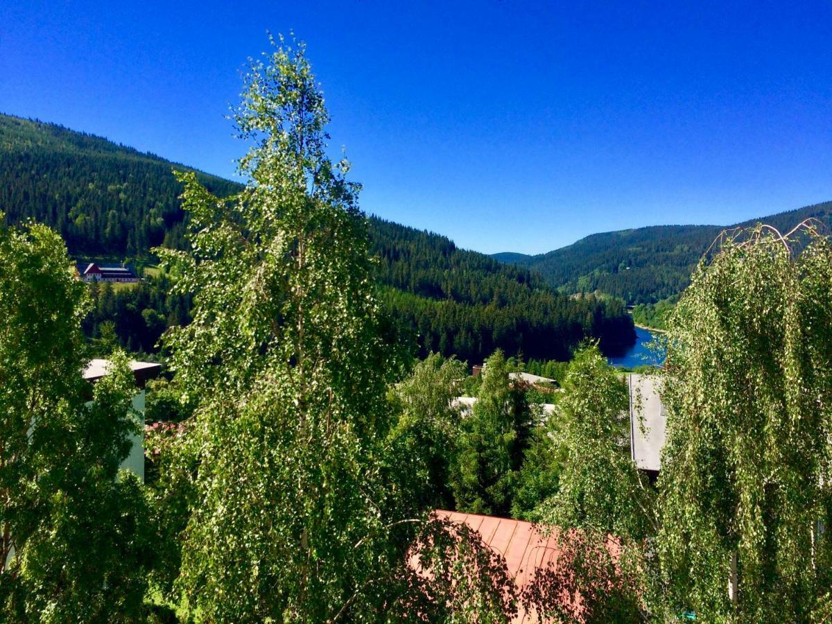 Apartament Elis Szpindlerowy Młyn
